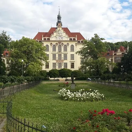 Art Nouveau Treasure Prag